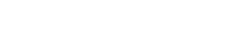 Lagniappe Pool Design